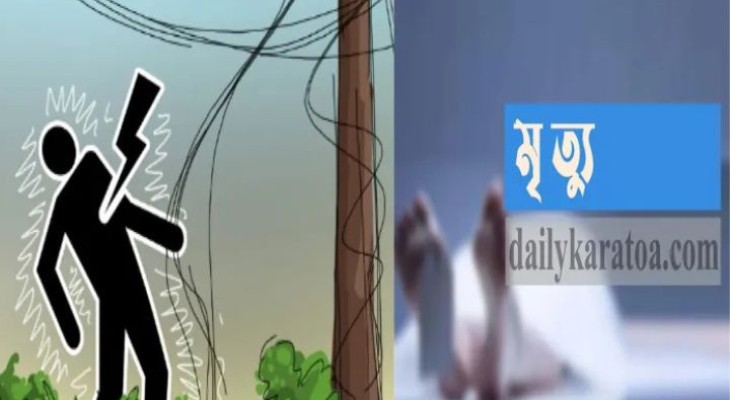 নোয়াখালীতে বিদ্যুৎস্পৃষ্টে শিক্ষার্থীর মৃত্যু